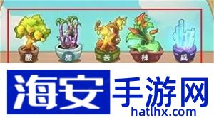 幸福路上的火锅店五味瓶怎么合