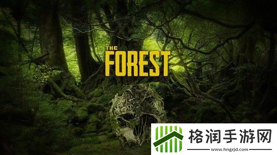 森林控制台怎么打开