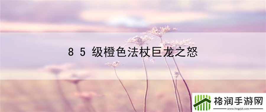 85级橙色法杖巨龙之怒
