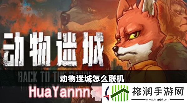 动物迷城能联机吗