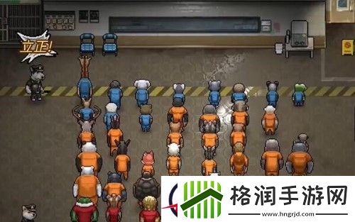 动物迷城能联机吗