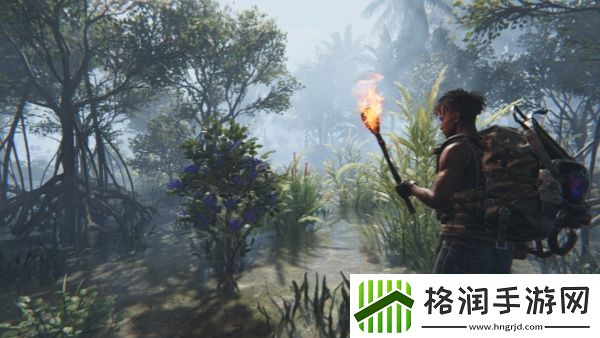 七日世界椰子树在哪