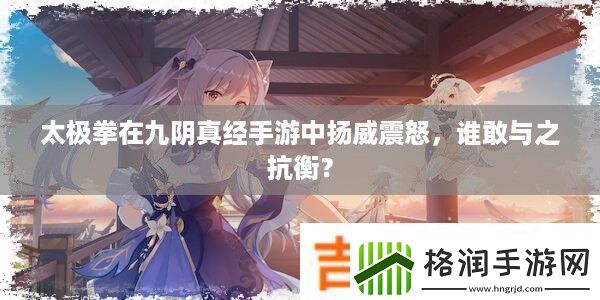 太极拳在九阴真经手游中扬威震怒