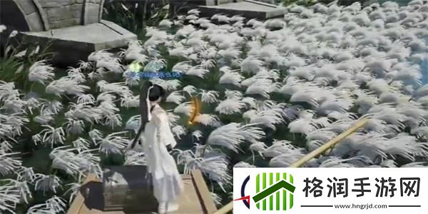 射雕梅花肯瓷收集攻略