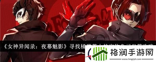 女神异闻录夜幕魅影寻找橘猫茶太的宝物杂司谷篇攻略