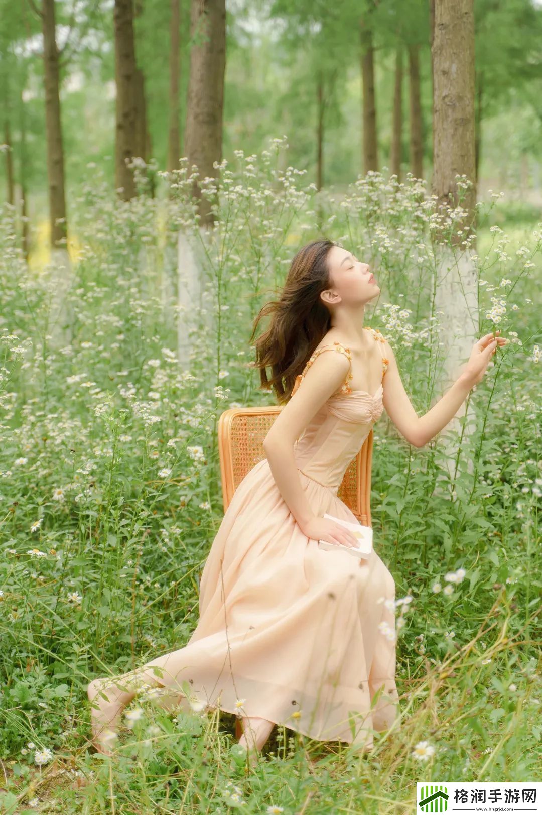 96533电视影片免费