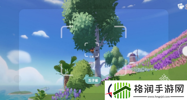 心动小镇观鸟怎么操作