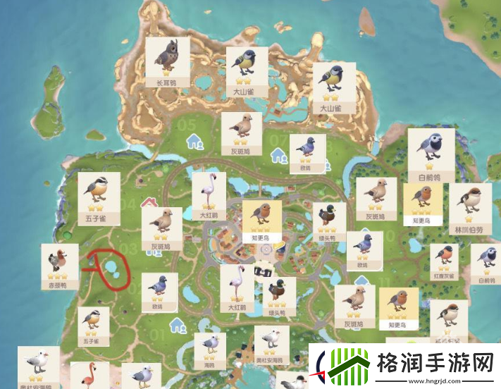 心动小镇观鸟怎么操作