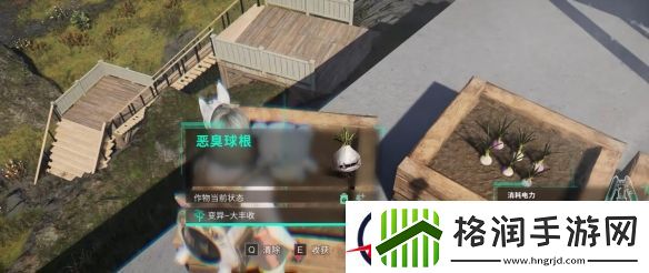 七日世界恶臭球根怎么收容