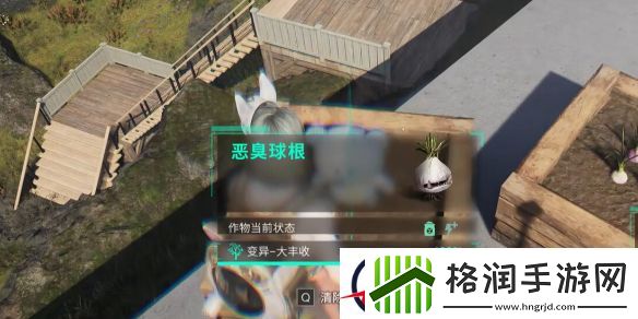 七日世界恶臭球根怎么收容