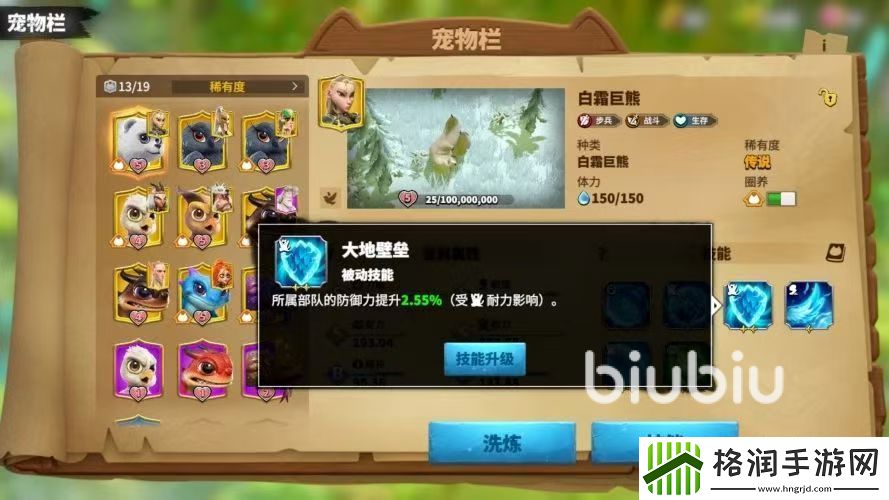 万龙觉醒宠物怎么搭配