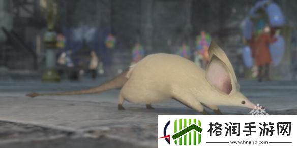 ff14小松鼠在哪买