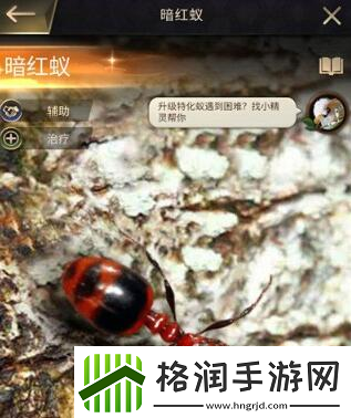 小小蚁国哪个特化蚁最强