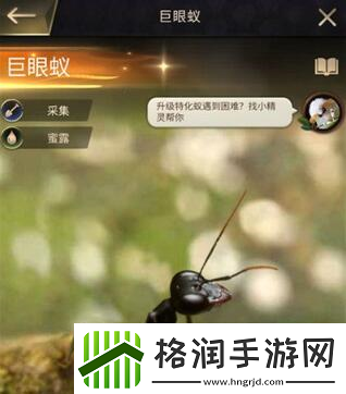 小小蚁国哪个特化蚁最强