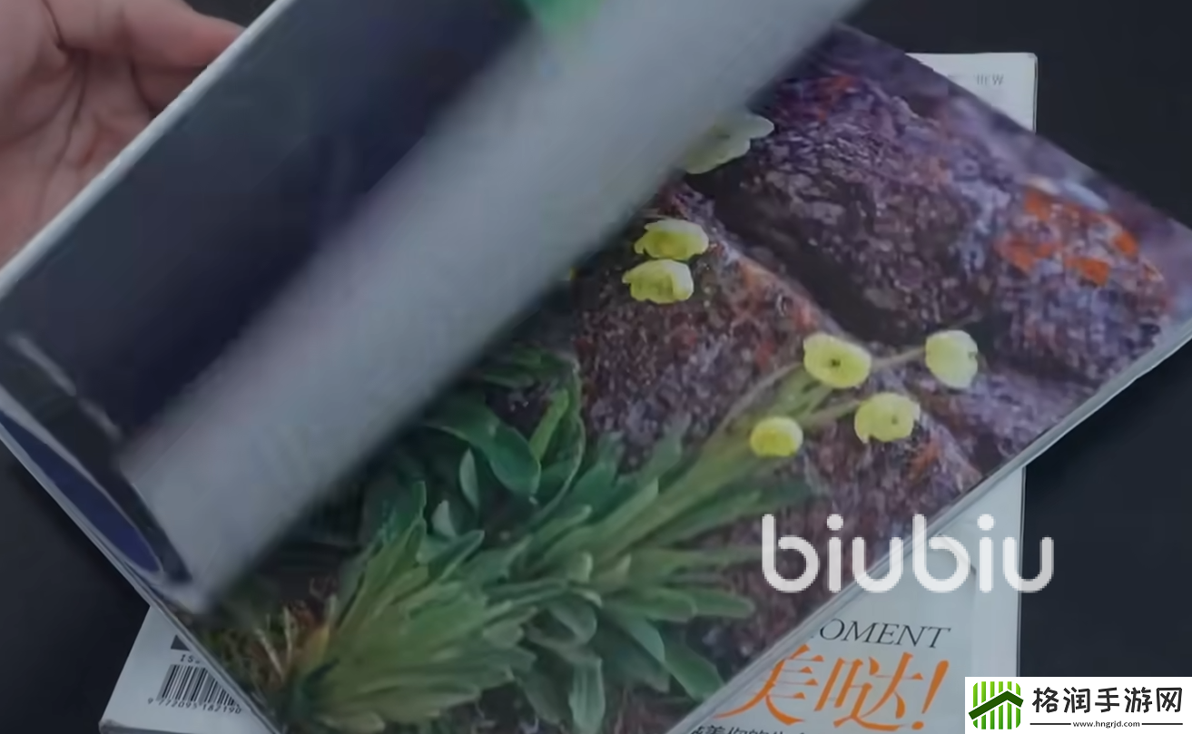 完蛋我被美女包围了手游是哪个公司的