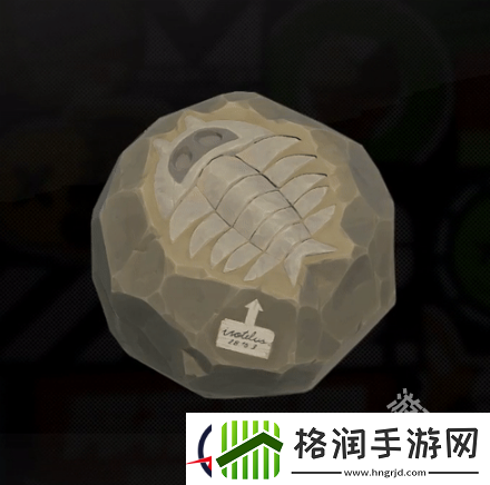 绝区零贵重骨骸属性是什么