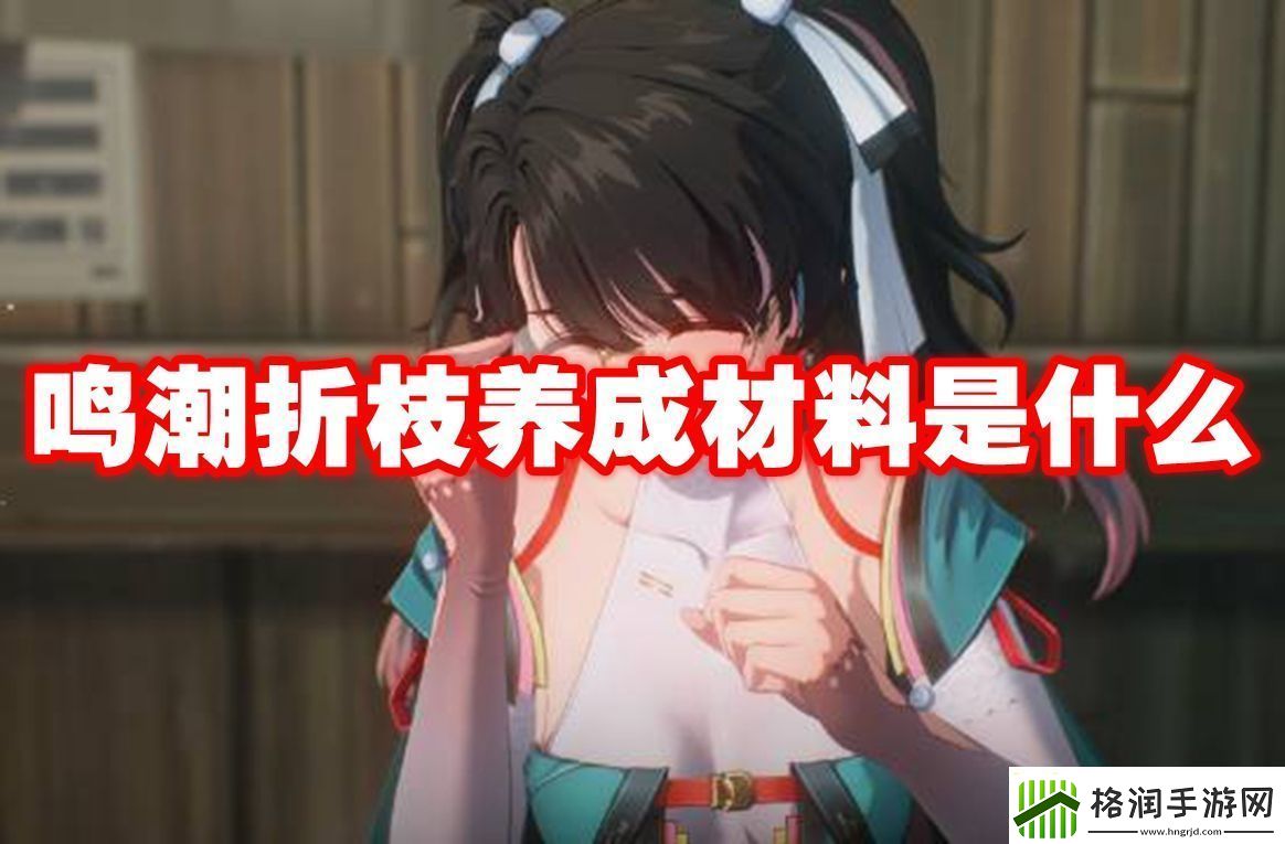 鸣潮折枝养成材料是什么