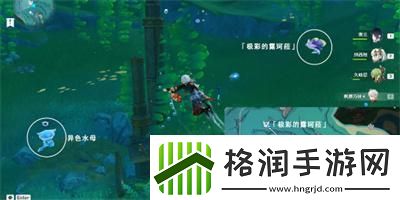 原神极彩的露珂菈如何打