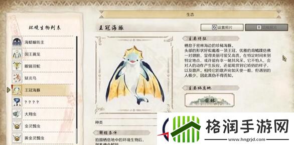 怪物猎人崛起曙光王冠海豚位置