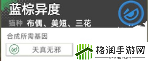 猫之城主题猫怎么获得