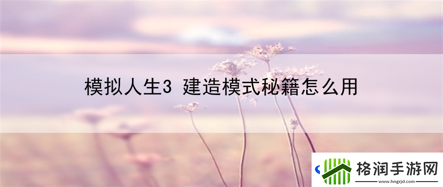 模拟人生3建造模式秘籍怎么用