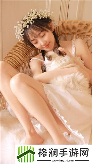 37大但人文但汾company