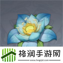 原神草神突破材料清单