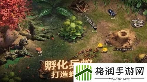 小小蚁国新手开局怎么玩