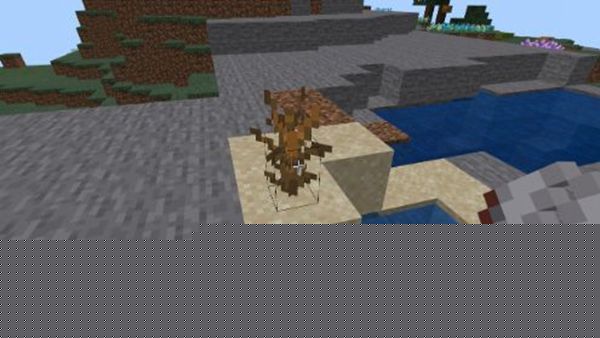 我的世界枯死的灌木介绍