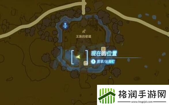 王国之泪空中花瓣是什么