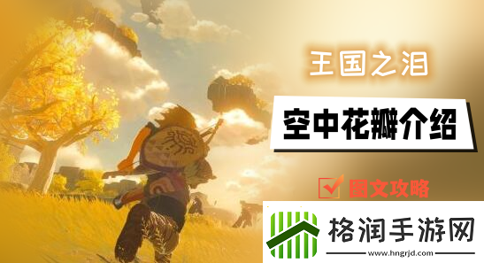 王国之泪空中花瓣是什么