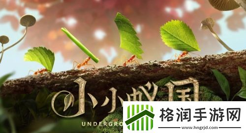 小小蚁国野外大地图怎么用