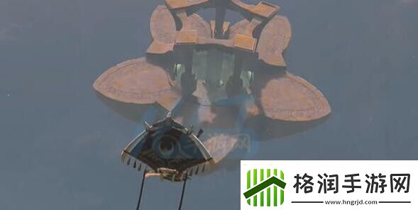 王国之泪空中花瓣是什么