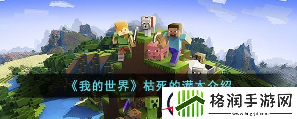 我的世界枯死的灌木介绍