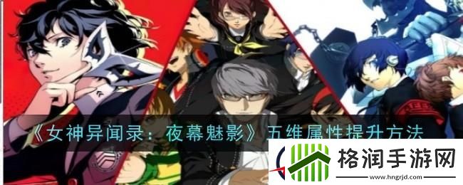女神异闻录夜幕魅影五维属性怎么提升