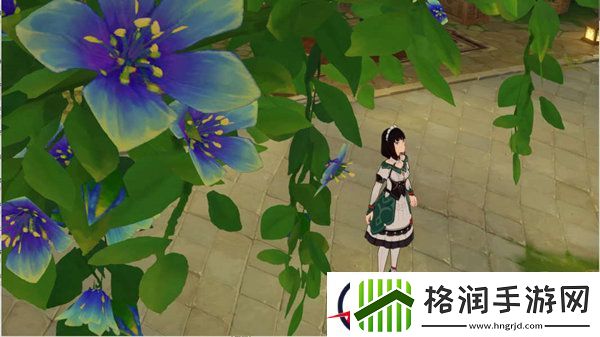 原神智慧之神的踪影任务攻略