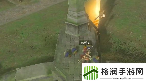 王国之泪无限复制怎么用