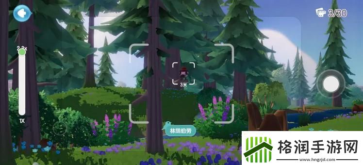 心动小镇鸟类观察图鉴大全