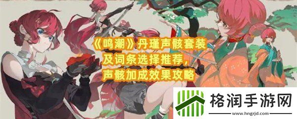 鸣潮丹瑾声骸及词条怎么选择