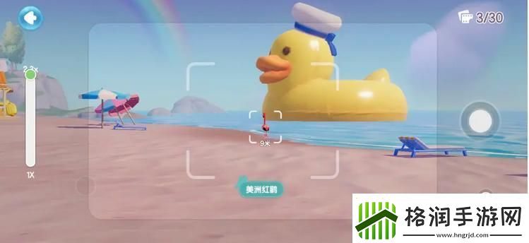 心动小镇鸟类观察图鉴大全