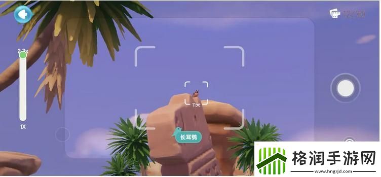 心动小镇鸟类观察图鉴大全