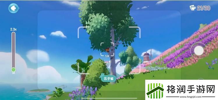 心动小镇鸟类观察图鉴大全