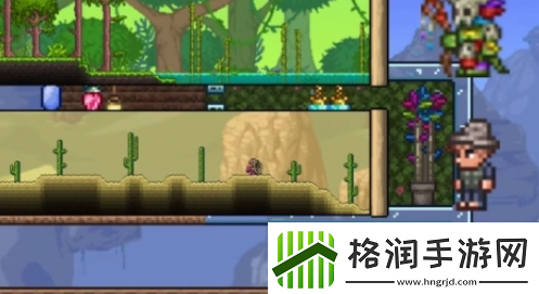 泰拉瑞亚怎么和树妖结婚泰拉瑞亚树妖结婚条件