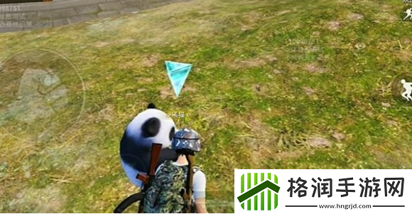 和平精英动物丛林动物介绍