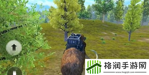 和平精英动物丛林动物介绍