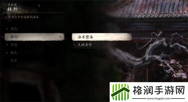 黑神话悟空怎么洗点