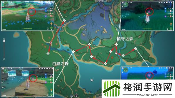 原神绯樱绣球采集路线