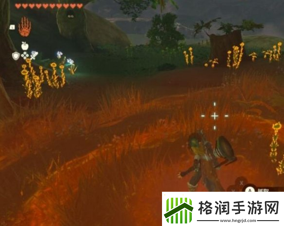 塞尔达传说王国之泪暖暖草果在哪采摘