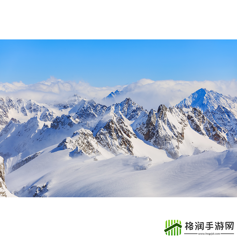 狗狗和人胶配方大全高清