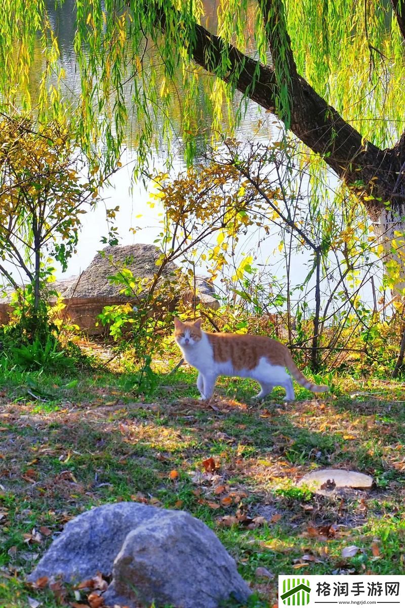 男生女生一起嗟嗟嗟很痛真第一节